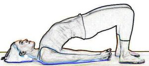 Bridge Pose - Setu Bandha Sarvangasana