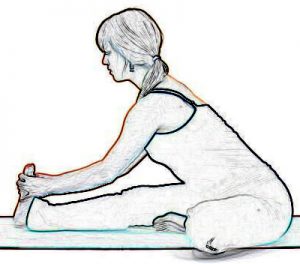 Head to Knee Pose - Janu Sirsasana