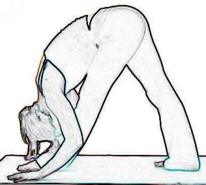 Pyramid Pose - Parsvottonasana