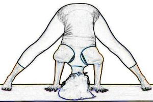 Standing Straddle Forward Bend - Prasarita Padottanasana