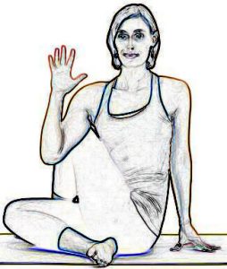 Half Lord of the Fishes Pose - Ardha Matsyendrasana