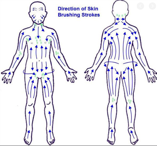 brushing directions